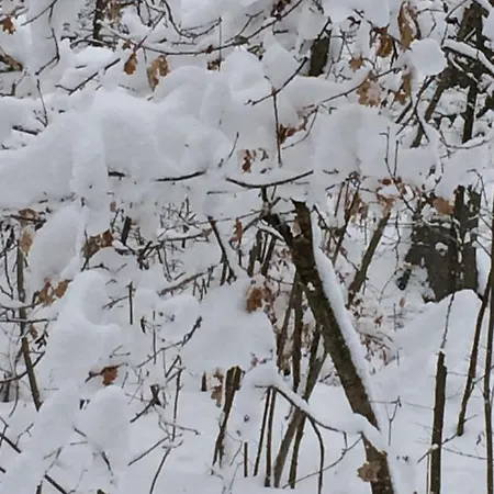 Appartamento Seevilla Annenheim