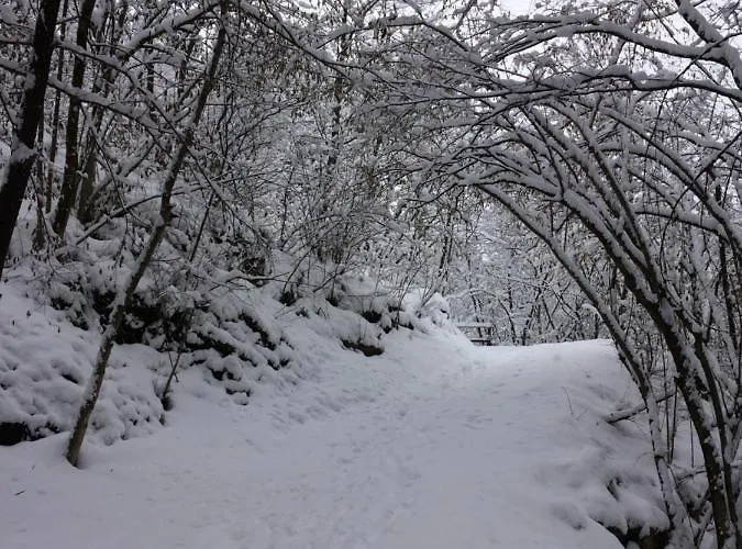 Apartamento Seevilla