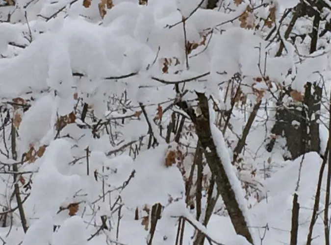 Apartamento Seevilla Annenheim